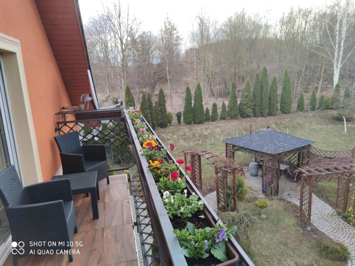Kora Cieplice * Jelenia Gora